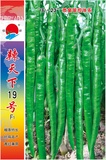 辣天下19號(hào)