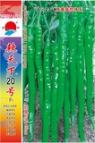 辣天下20號(hào)