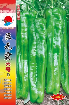 巨無(wú)霸六號(hào)