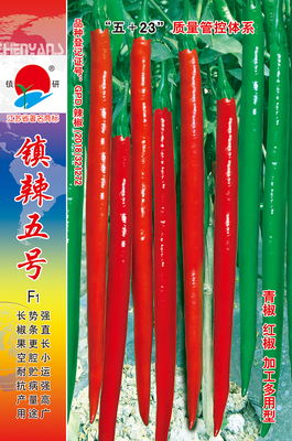 鎮(zhèn)辣五號(hào)