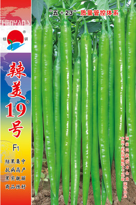 辣美19號(hào)