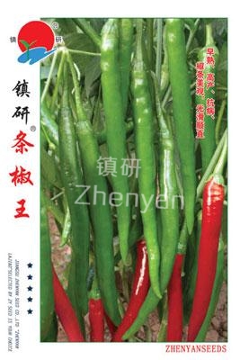 鎮(zhèn)研條椒王