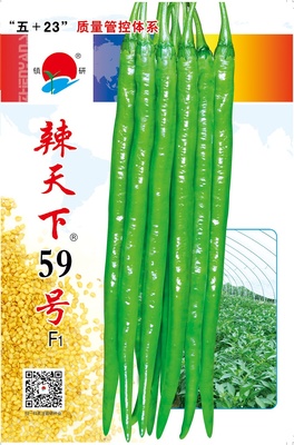 辣天下59號(hào)