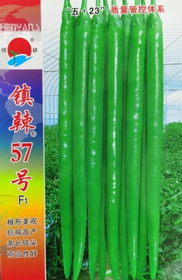 鎮(zhèn)辣57號(hào)