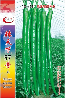 辣天下57號(hào)