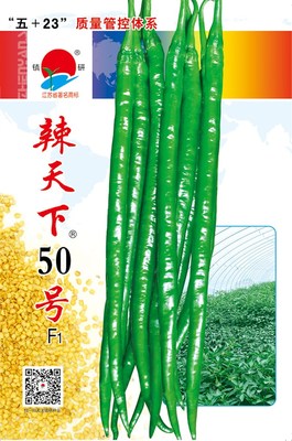 辣天下50號