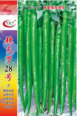 辣天下28號(hào)