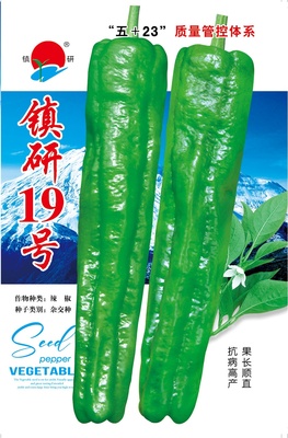 鎮(zhèn)研19號(hào)