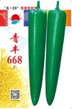 青豐668