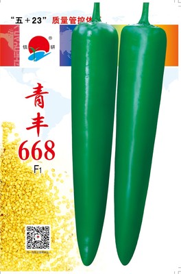 青丰668