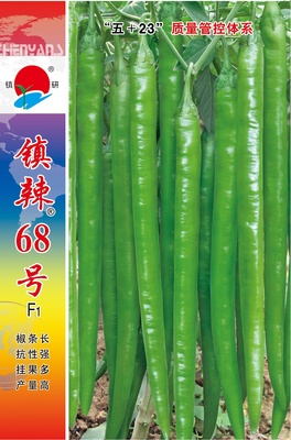 鎮(zhèn)辣68號(hào)